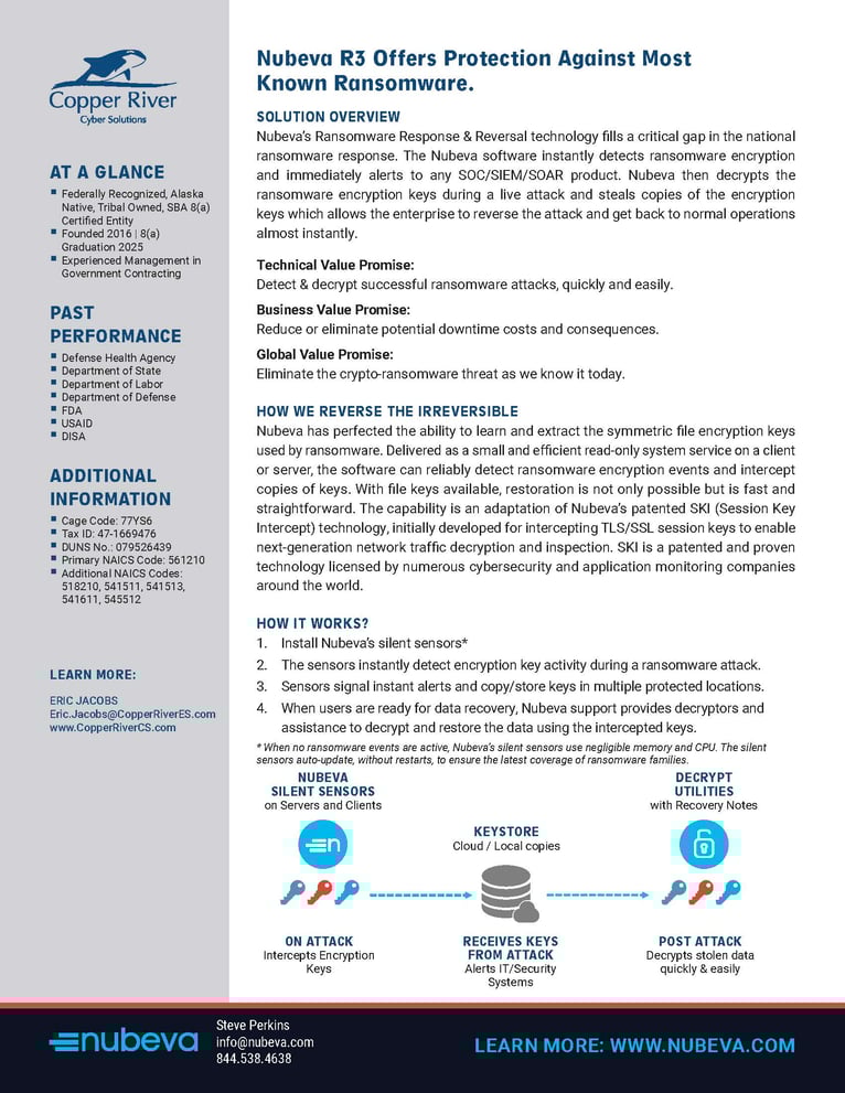 Page 2: Nubeva and Copper River Federal  Ransomware Reversal Solution Brief