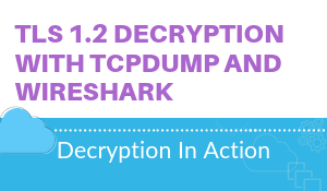 Video: TLS 1.2 decryption with TCPDump with Wireshark